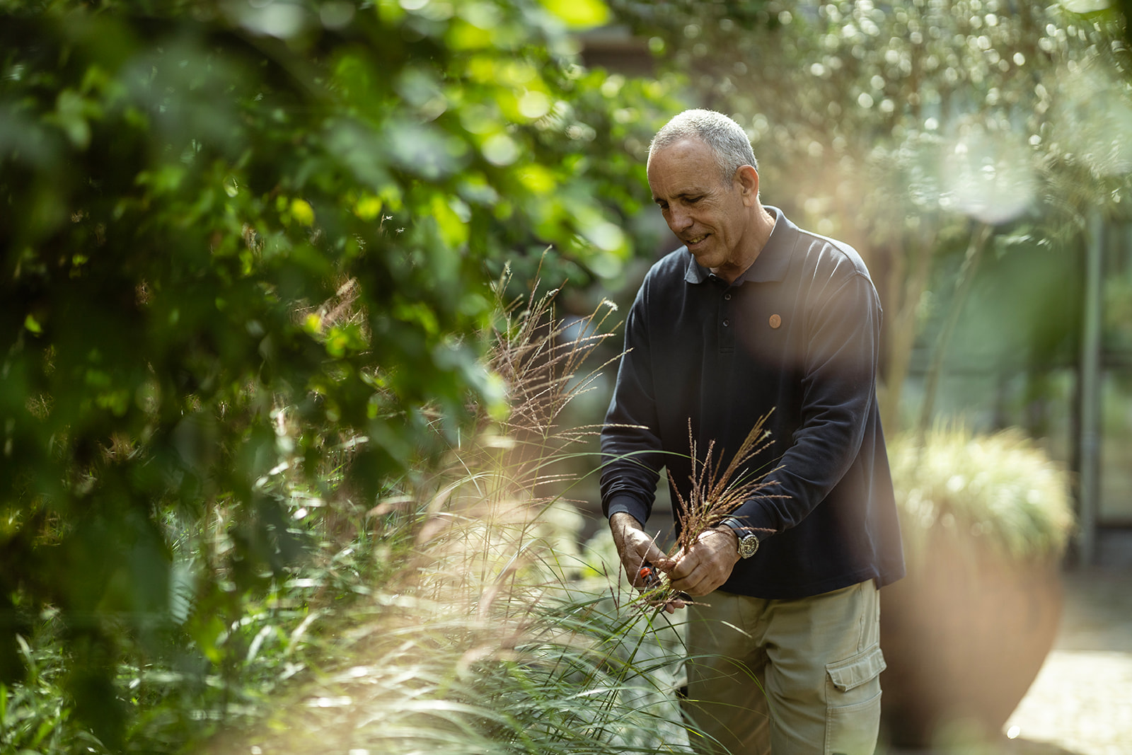 Man in a garden trimming tall grass among greenery in soft natural light.