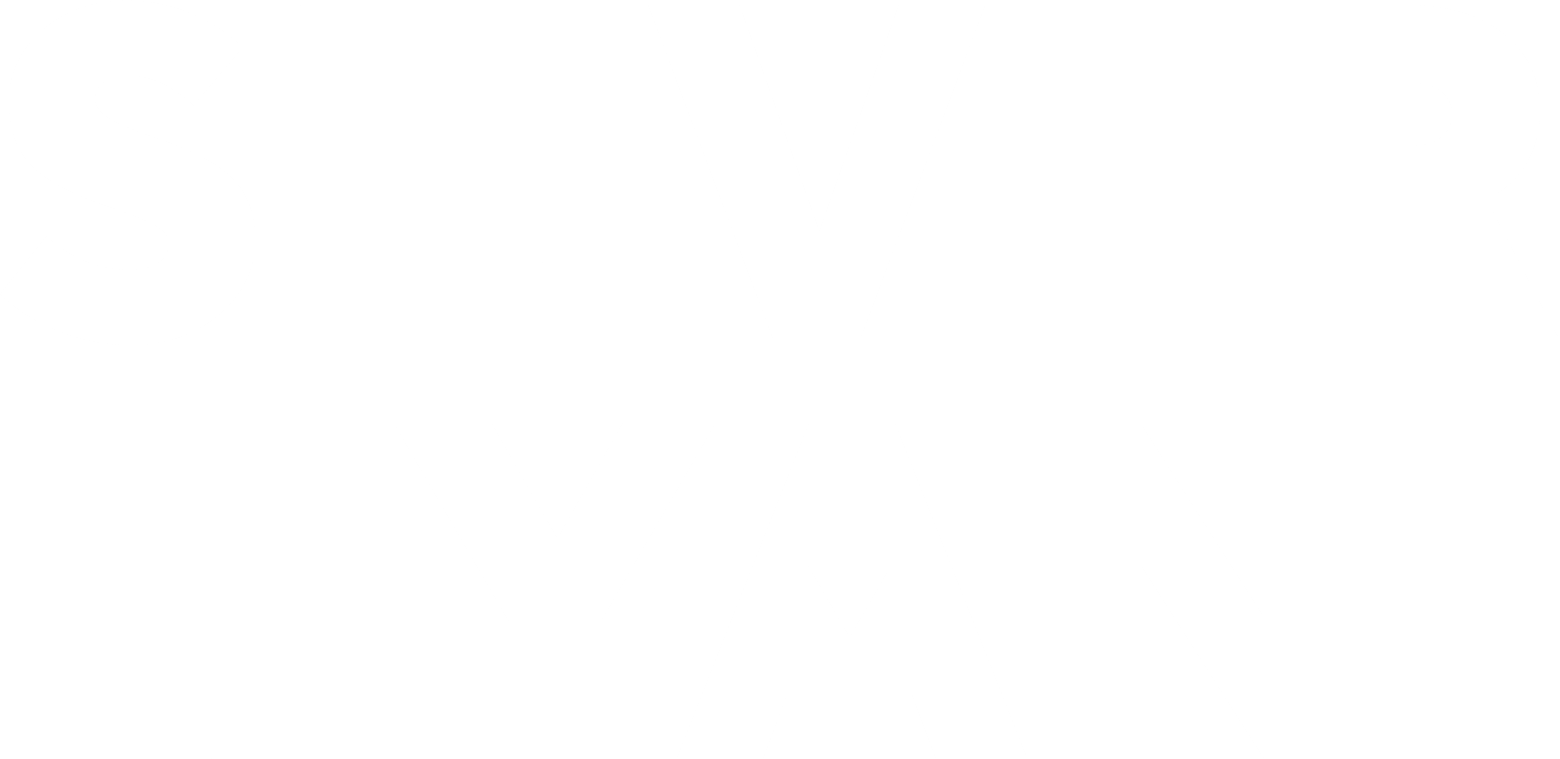 SILVER LYAN logo in stacked bold white uppercase letters on a black background.
